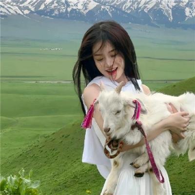 阴阳路3:升棺发财